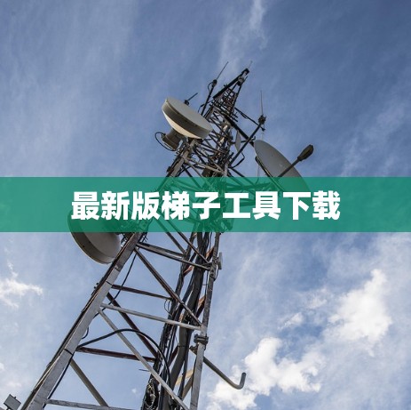 最新版梯子工具下载