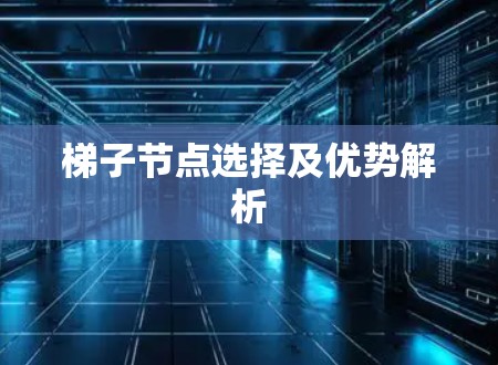 梯子节点选择及优势解析