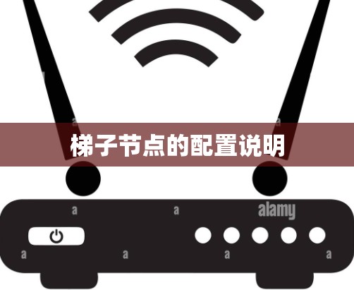 梯子节点的配置说明