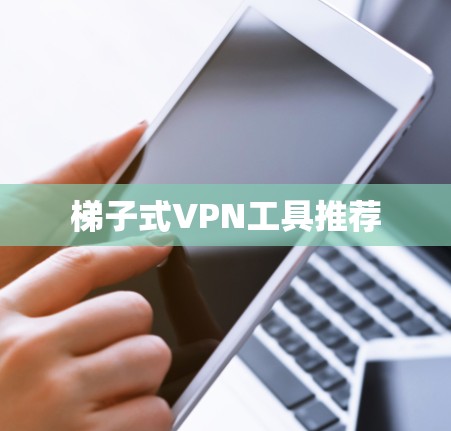 梯子式VPN工具推荐