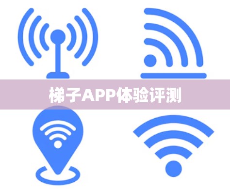 梯子APP体验评测