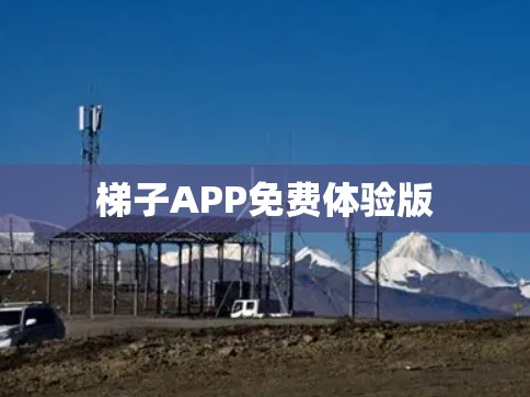 梯子APP免费体验版