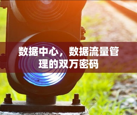 数据中心，数据流量管理的双万密码