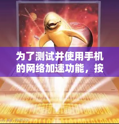 为了测试并使用手机的网络加速功能，按照以下步骤进行