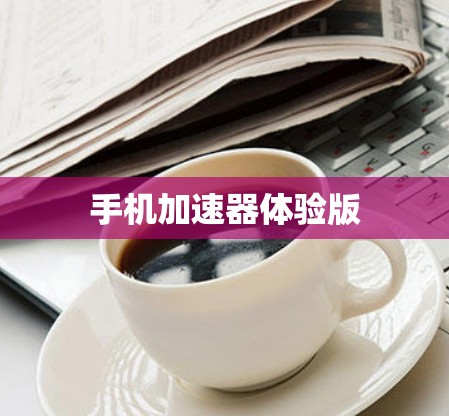 手机加速器体验版