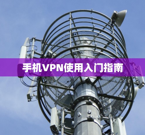 手机VPN使用入门指南