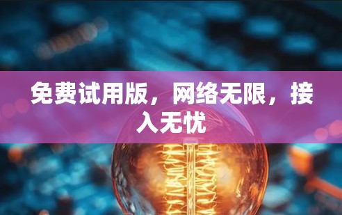 免费试用版，网络无限，接入无忧
